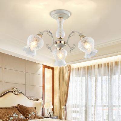 China New Product Style HUAYI Dining Room Modern Iron LED Outdoor Decoration Glass Mounted Ceiling Light for sale