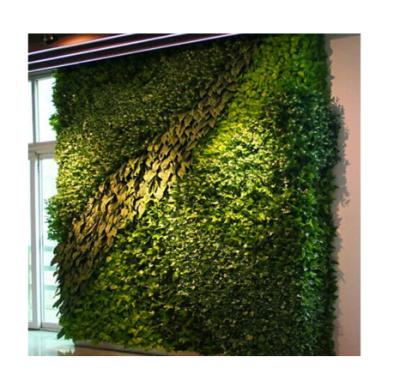 China Minimalist Hot Sales Artificial Foliage Grass Wall Boxwood Panel Mat For Gardens for sale