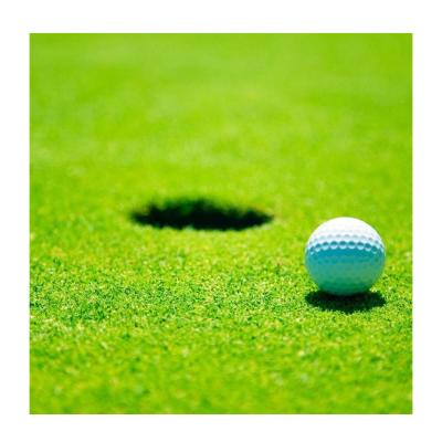 China Golf Field 5500Dtex Golf Synthetic Grass Prices Holland Artificial Turf for sale