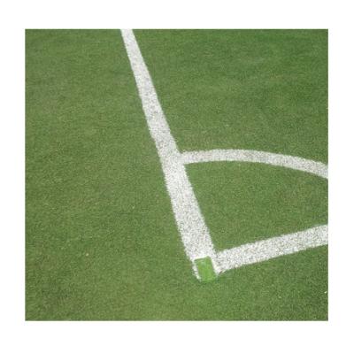 China pe-monofil soccer grass artificial grass synthetic grass roll for soccer field for sale