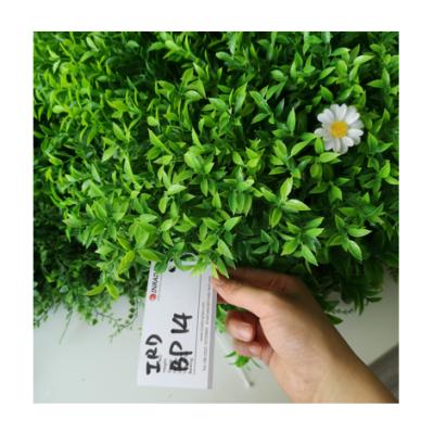 China Minimalist Artificial Carpet Hedge 50cm*50cm Artificial Wall Grass Leaves Boxwood Panel For Garden for sale