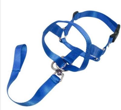 China 2022 Viable Chef's Best Hot Selling Soft No Pull Dog Collar And Leash Perfect For Training for sale