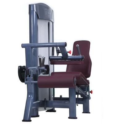 China Manufacturer Universal Cheap Commercial Leg Curl Extension Press Gym Equipment for sale