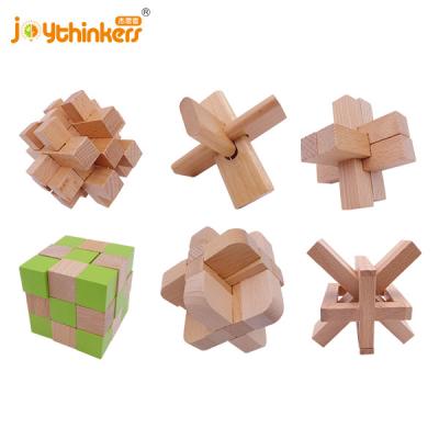 China 100% Eco-friendly Wooden Brain Teaser Supper Pentomino. Genius skills builder, educational toy for kids and adults for sale