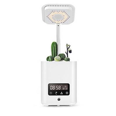 China Indoor Hydroponic Smart Garden Flower Desktop Tabletop Hydroponic Clock Humidification/Purification/Speaker/Air Planting with Humidifier Music Timing for sale