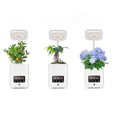 China China Manufacturer Multifunctional Digital Calendar Clock Air Humidification/Purification/Speaker/Planting Grow Smart Garden Music Speaker Creative Flower Pot for sale