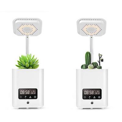 China New Style Garden Smart Plant Funny Flower Pot Humidification/Purification/Speaker/Air Planting With Music Green Plants Lamp For Home Office Usb Rechargeable for sale