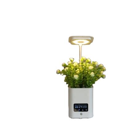 China Green Plant Table Lamp Mini Plastic Music Humidifier Flower Smart Pot Humidification/Purification/Speaker/Air Planting New Gifts For Home Living Room for sale