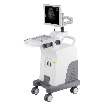 China HBW-10 Metal Plus Full Digital Trolley B/W Ultrasound Machine for sale