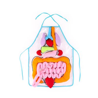 China Children Learn Training Aid Wholesale Preschool Kids Apron Factory Supply Human Organs Early Education Toys for sale