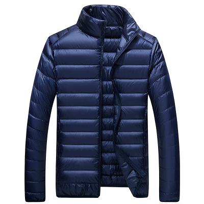 China Wholesale Custom Made Viable Winter JACKETOWN Duck Feather Down Filled Jacket Stand Collar Ultra Light Fold Down Jackets PLUS SIZE for sale