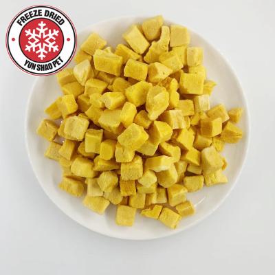 China Stocked Free samples pet food pet supplies OEM box EGG YOLK dog treat cat treat for sale