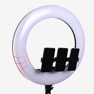 China Mini 21inch Ring Light With Stand Phone Brackets Remote Tripod Selfie Ring Light For Composing Youtube Recording for sale