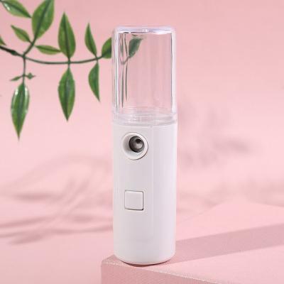 China Portable Ionic Facial Moisturizer Steamer 30ml Nano for sale