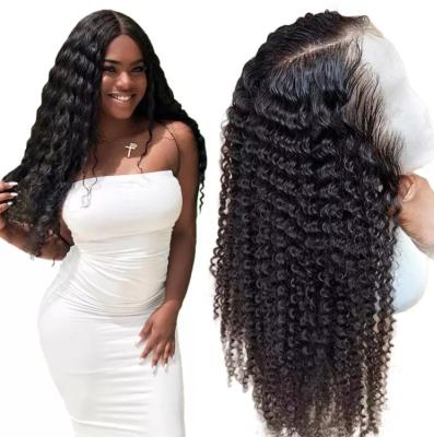 中国 Mink Peruvian Human Hair Vendors Transparent Swiss Lace Deep Curly Wig Raw Virgin Cuticle Aligned Hair Full Lace Wig Dee 販売のため