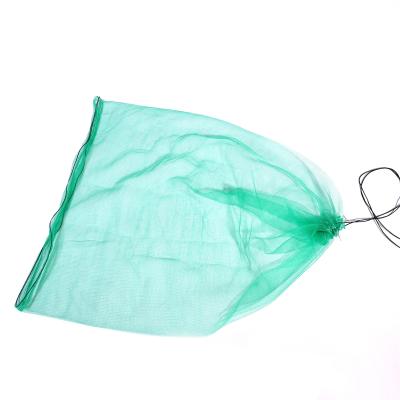 China Protecing Date Fruit Well Date Mesh Bags Net Bags Insect and Bird HDPE Monofilament Date Palm Protection Bag for Dates for sale