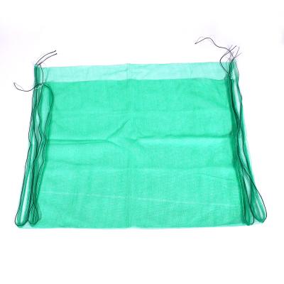 China Agriculture Date Palm Protection Bag Date Mesh Pocket Net Bags For Dates for sale