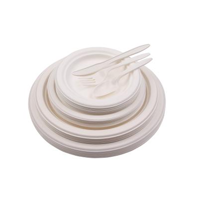 China Biodegradable Eco-friendly Disposable Wheat Paper Plate 50 Pcs Set Disposable Tableware Set for sale