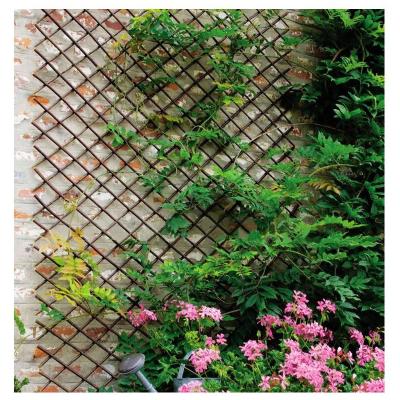 China Easily Assembled Expandable Willow Trellis Fencing Garden Trellis For Outdoor Plants Decoration Trellis Climbing Fence for sale