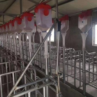 China Automatic Line Farms Pig Farm Equipment Sow Feeder Animal Feeding System for sale