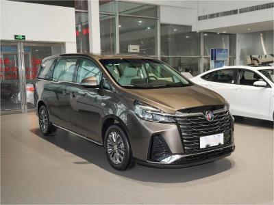 中国 ビュイックミニバン MPV 7人座 ビジネスレセプション 家族旅行 販売のため