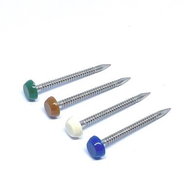 China 65mm Ringvormige Roestvrije Ring Shank Nails With Plastic Hoofda4 Rang Te koop