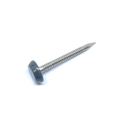 China Low Profile Nylon Plastic Head Nails Of 316 Stainless Steel For Roofline for sale