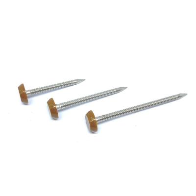 China 65mm Poly Top Plastic Head Nails Stainless Steel A2 Ring Shank Nails / Pins for sale