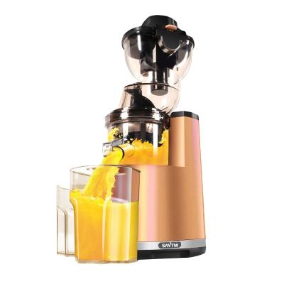 China Commercial cold industrial pineapple juicer machine bud bud press machine slow juicer Hurom for sale