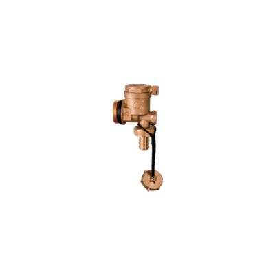 China Contemporary 1/2 Inch High Quality Durable Using Various Waterproof Automatic Release Vent Valve for sale