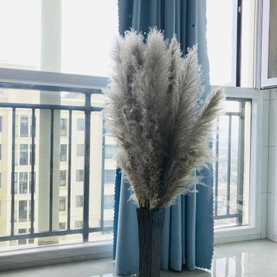 China Wedding Party Shop Decor Home Wholesale Dried Pampas Grass Gray Large Fluffy Pampas Grass For Wedding Garden Decoration for sale