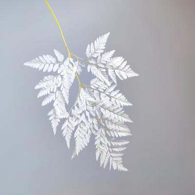 China Durable Preserved Parchment Fern Coral Fern Beautiful Decorative Leaves Bleached Leather Ferns For Decoration for sale