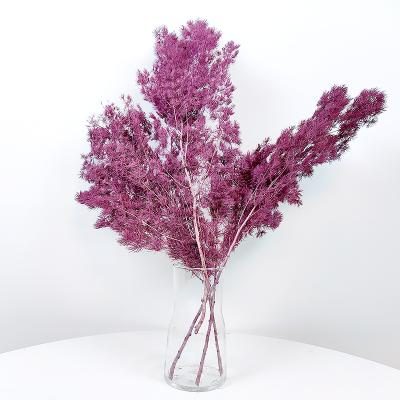 China Wedding Flower Arrangements Floristic Decoration Material Bleached White Mingfern Preserved Fresh Ming Fern Asparagus For Weeding Flowers for sale