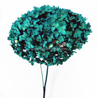 China Single Artificial Hydrangea Touch Flower High Quality Wedding 15cm 15-25cm 25cm Anna Multicolor Hydrangea Home Decor Genuine Decoration for sale