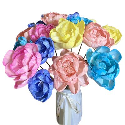 China Sola Paper Artificial Bulk Dryflower Sola Wood Flowers for air freshening for sale