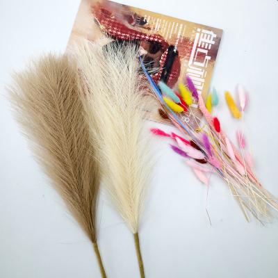 China Fashional Gift Amazon Success Artificial Flowers Luxury Pampas Grass Decorative Fake Pampas Grass Artificial Pampas Grass Wedding Decor for sale