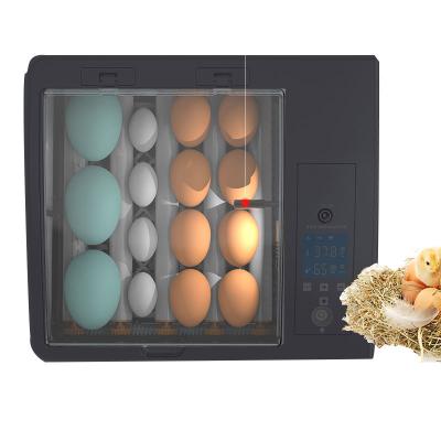 China Bird Chicken Eggs Multifunctional Egg Fertilized Incubator Hatchery Automatic Eggs for sale