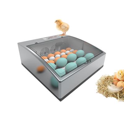 China New multifunctional hatchery machine macaw parrot eggs quail egg incubator for sale for sale