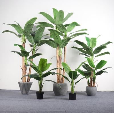 Κίνα Big Leaves Artificial Evergreen Leaves Japonica Floor Plants προς πώληση