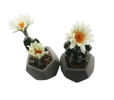 China Wedding 30cm Artificial Cactus Potted Succulent Plastic Plants For All Days Occasion And Free Sample Available for sale