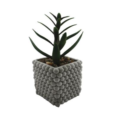 China Wedding Mini Artificial Plants Live Succulent Plants With Pot Tropical Plants Artificial Flowers for sale