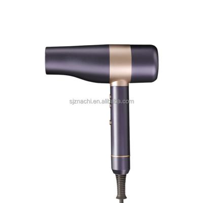 China Other Wholesale Multifunctional Portable Hair Dryer Hair Dryer With Diffuser for sale