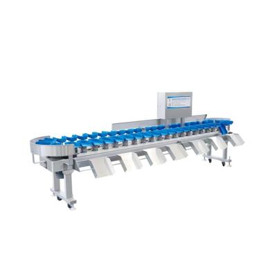 China Vegetable Processing Plant New Best Quality Chicken Product Grader Tuna Fish Shrimps Weight Sorted and Grading Machine for sale