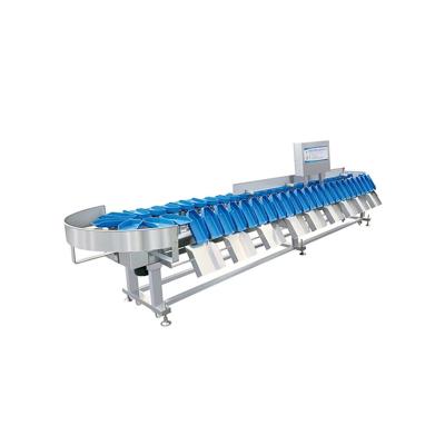 China 2022 Promotions Sort Machin Vegetable Processing Plant Manufacturer Sorter For Shrimp Oyster Weight Sorter for sale