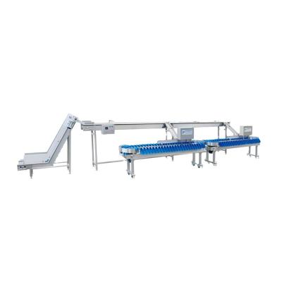 China Direct Wholesale Vegetable Processing Plant Mill Classifier Machine Fruit Weight Sorter for sale