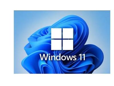 China Email Delivery Windows 11 Activation Key 1 PC Unique Code For Windows 11 Pro License for sale