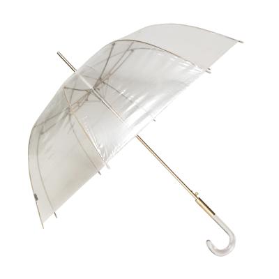 China Modern high quality promotional transparent clear umbrella straight gold women shape plastic umbrella for rain for sale