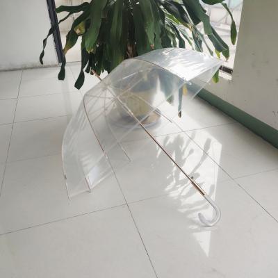 China Modern Creative Transparent Automatic Straight Umbrella Long Handle Bone Umbrella 8 Bone Umbrella Customized Big Logo for sale