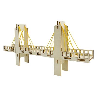 China Inspire the young mind; Know School Lesson Learning New Design Suspension Bridge Educational Models Engineering Toys for sale