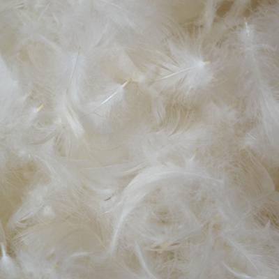 China Pure Washed Mattress Loose White Duck Feather Filling Material For Cushion Mattress for sale